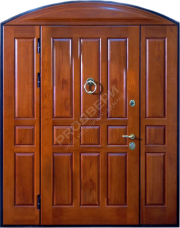 Фотография «Парадная дверь №145»